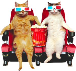 Cats!